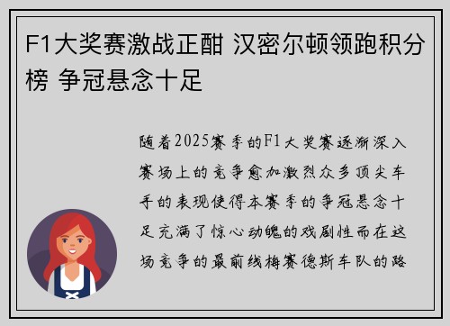 F1大奖赛激战正酣 汉密尔顿领跑积分榜 争冠悬念十足