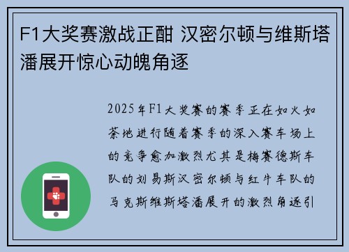 F1大奖赛激战正酣 汉密尔顿与维斯塔潘展开惊心动魄角逐